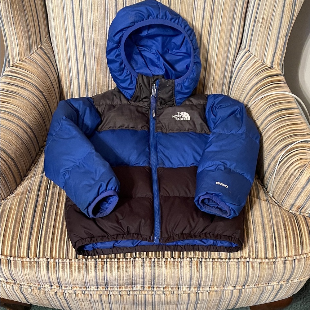The North Face Youth Blue and Brown Puffer Jacket